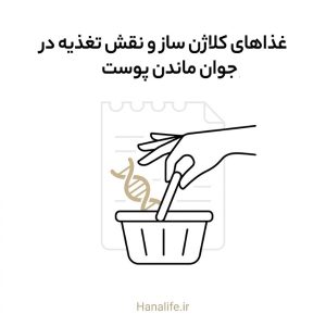 طرح خطی مینیمال سبد خرید با رشته کلاژن، غذاهای کلاژن‌ساز، هانالایف