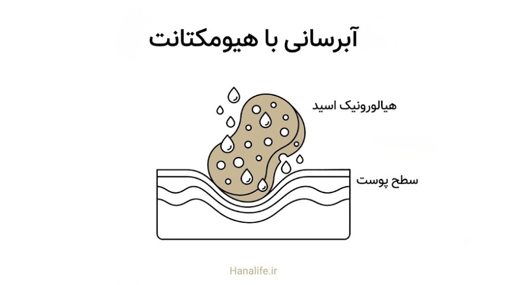 جذب آب توسط هیالورونیک اسید در آبرسانی سد پوستی