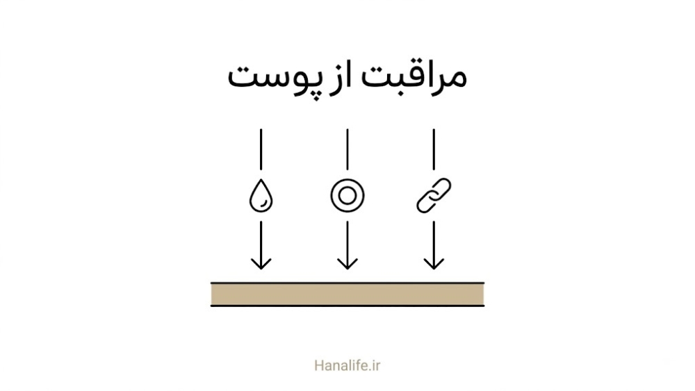 سه نماد مولکولی نیاسینامید، پپتید و رتینول در حال حرکت به سمت سطح پوست بهعنوان آلترناتیو PDRN