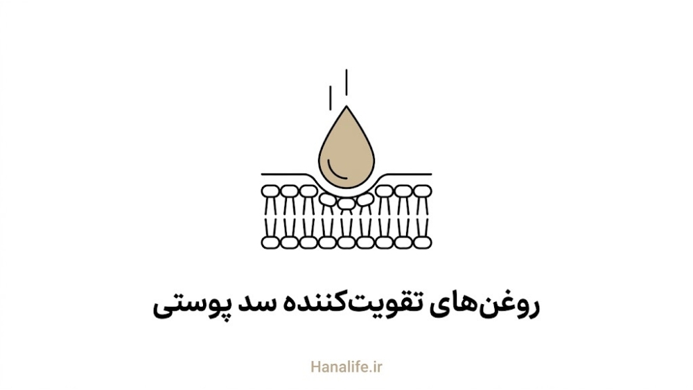 روغن گل رز تقویت‌کننده سد پوستی در حال جذب در لایه لیپیدی — روغن گل رز — هانالایف