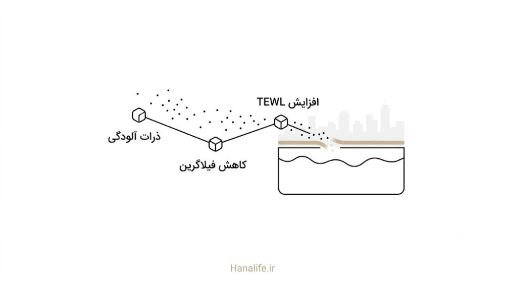 آلودگی هوا و کاهش فیلاگرین در پوست تهرانی — از دست دادن آب پوست — هانالایف