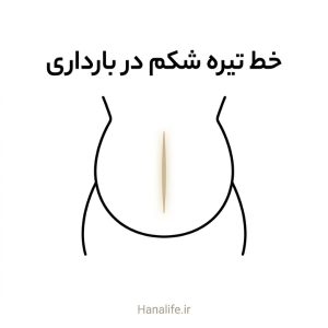 خط عمودی روشنشونده روی شکم باردار بهسبک مینیمال خطی — خط تیره شکم در بارداری — هانالایف