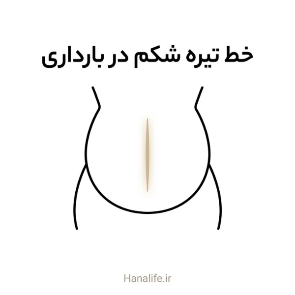 خط عمودی روشنشونده روی شکم باردار بهسبک مینیمال خطی — خط تیره شکم در بارداری — هانالایف