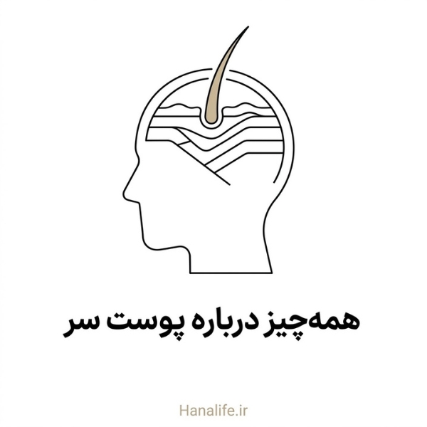 برش مقطعی پوست سر شبیه لایه‌های خاک با یک تار مو در حال رشد — پوست سر — هانالایف