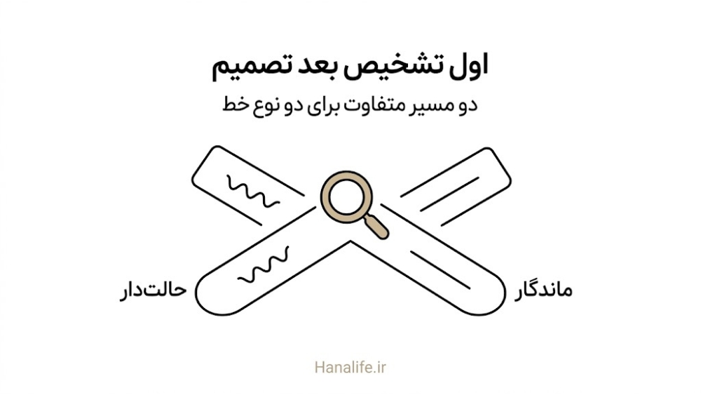  مسیر واحدی که پیش از تصمیم به دو شاخه چروک حالت‌دار و چروک ماندگار تقسیم می‌شود — هانالایف