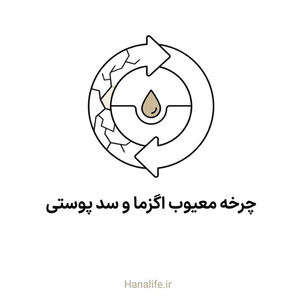 حلقه دایرهای شکسته نمادین چرخه معیوب اگزما و سد پوستی — هانالایف