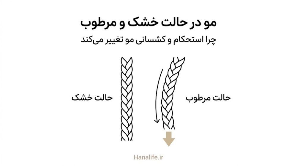 مقایسه انعطاف مو در حالت خشک و مرطوب — استحکام مو — هانالایف