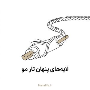تصویر مقطعی تار مو با لایه‌های پنهان آن — ساختار تار مو — هانالایف