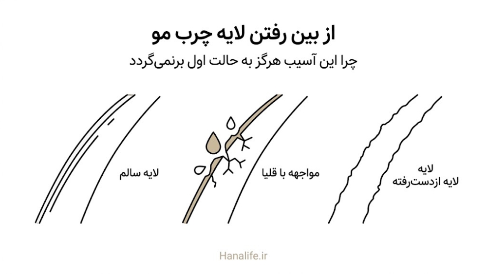  توالی از‌بین‌رفتن لایه محافظ چرب روی تار مو — لایه ۱۸-MEA — هانالایف