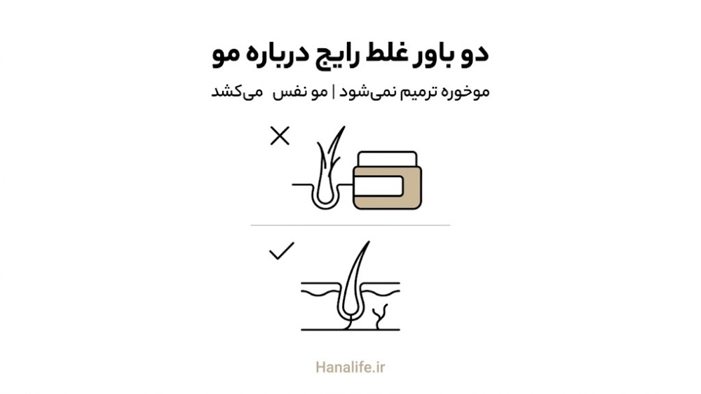 کارت مقایسه باور غلط و واقعیت درباره ترمیم موخوره و تنفس مو — موخوره — هانالایف