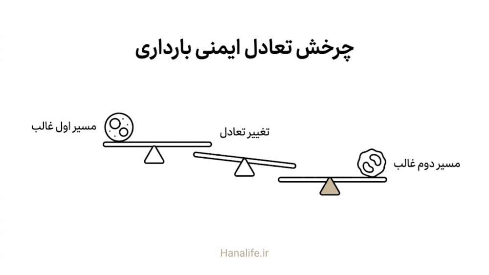  چرخش سلول ایمنی از یک مسیر به مسیر دیگر در بارداری — هورمون بارداری و پوست — هانالایف