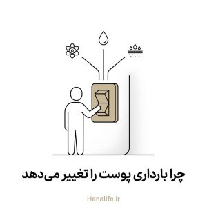 یک سوییچ برق‌مانند که چند مسیر پوستی را هم‌زمان روشن می‌کند — هورمون بارداری و پوست — هانالایف