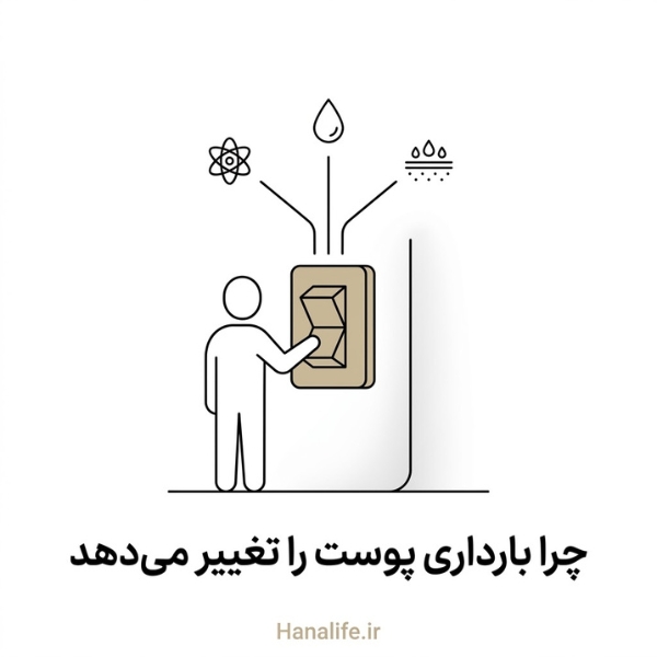 یک سوییچ برق‌مانند که چند مسیر پوستی را هم‌زمان روشن می‌کند — هورمون بارداری و پوست — هانالایف