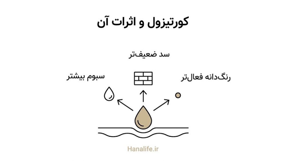 کورتیزول در حال اثرگذاری بر چربی، سد دفاعی و رنگدانه پوست — کورتیزول پوست — هانالایف