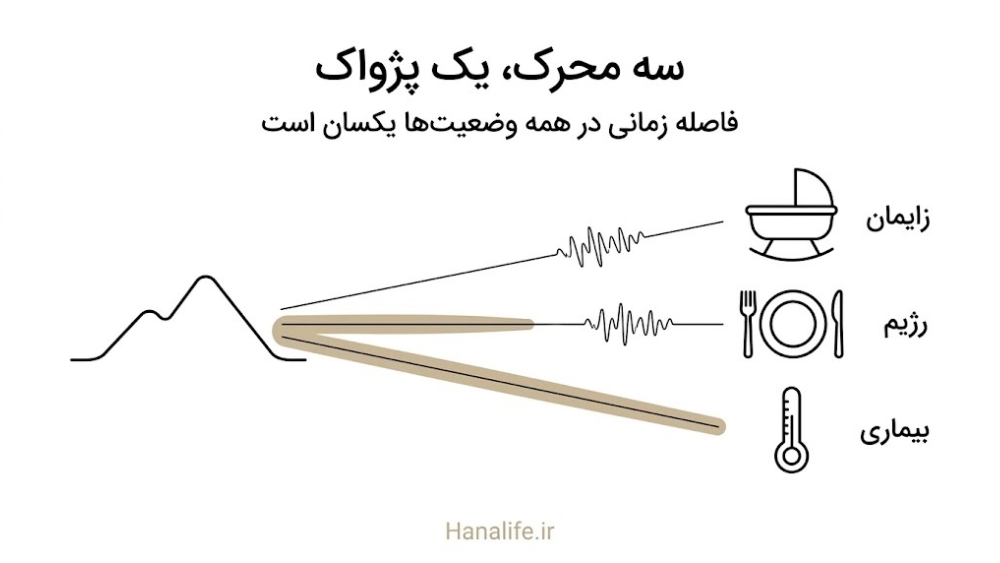سه محرک ریزش مو بعد از زایمان، رژیم و بیماری که پژواکی با فاصله زمانی مشابه دارند
