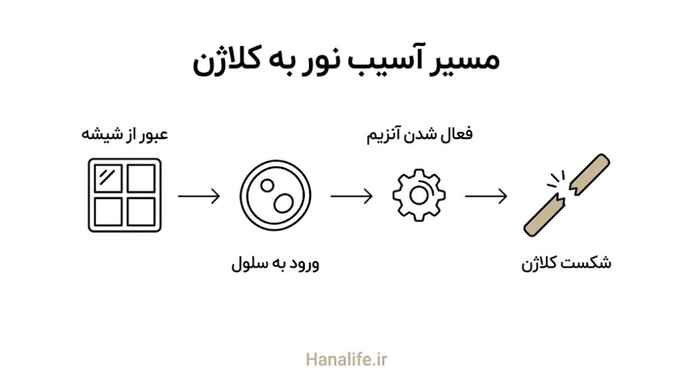 توالی مکانیسم اثر نور UVA۱ بر سلولهای پوست تا تخریب کلاژن — پیری ناشی از آفتاب — هانالایف
