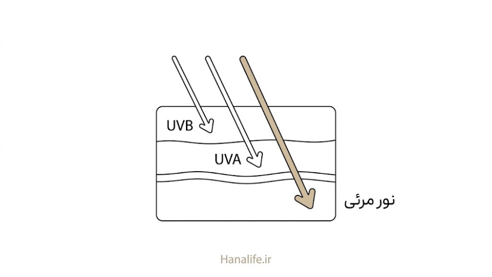 مقطع پوست با سه پرتو UVB، UVA و نور مرئی در عمق‌های اپیدرم و درم — UVA پوست — هانالایف