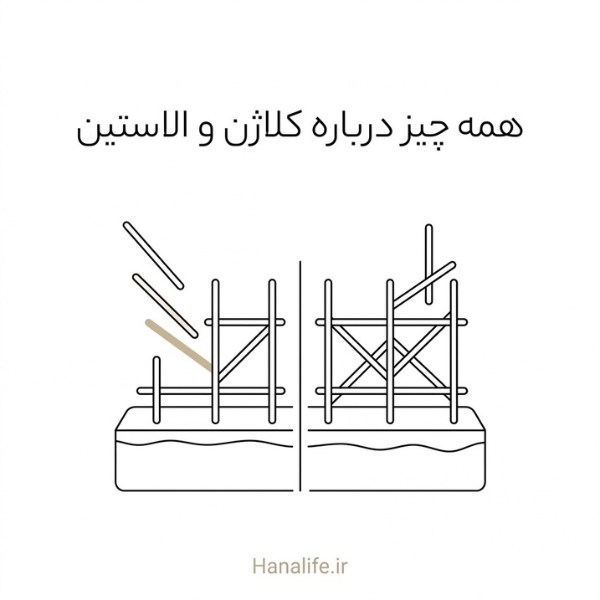 داربست باریکی که روی برش پوست ساخته و برداشته می‌شود — کاهش کلاژن پوست — هانالایف