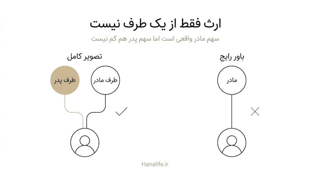 مقایسه باور رایج ارث ریزش مو مردان فقط از مادر با تصویر کامل ارث از هر دو طرف خانواده