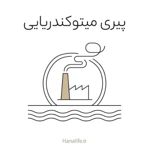 نیروگاه ساده با دودکش و دود درون یک سلول پوست، نمادی از فرسودگی انرژی سلول — پیری میتوکندریایی — هانالایف