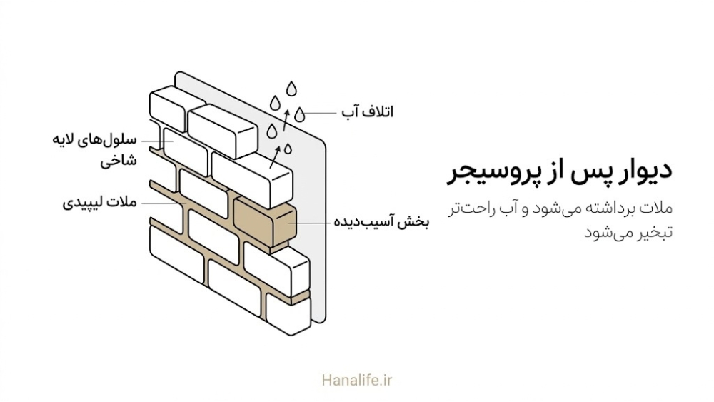  مقطع دیوار آجر و ملات با شکاف و خروج قطره‌های آب، نمای سد پوستی پس از پروسیجر و اتلاف آب