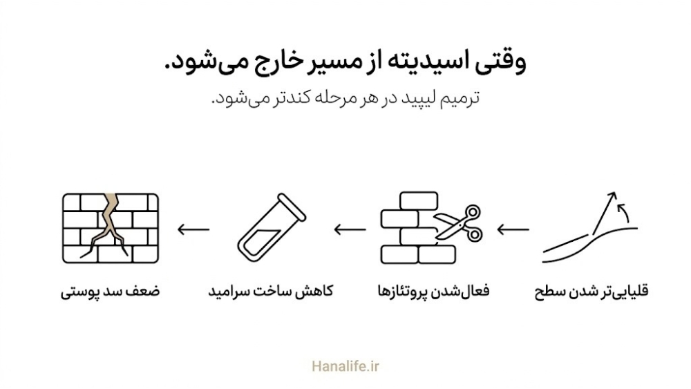 چهار مرحله تصویری از قلیایی شدن سطح پوست تا ضعف سد، نمای کنترل pH و ترمیم لیپید در ریکاوری پروسیجر