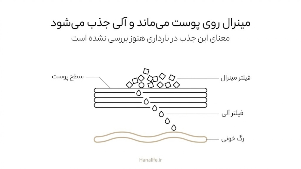  برش پوست که فیلتر مینرال را روی سطح و فیلتر آلی را در حال جذب تا رگ خونی نشان می‌دهد؛ تفاوت جذب ضد آفتاب