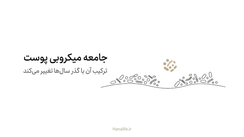 جامعه میکروبی روی سطح پوست با ترکیبی که با افزایش سن آرامآرام جابهجا میشود و یک خوشه تغییر مکان میدهد
