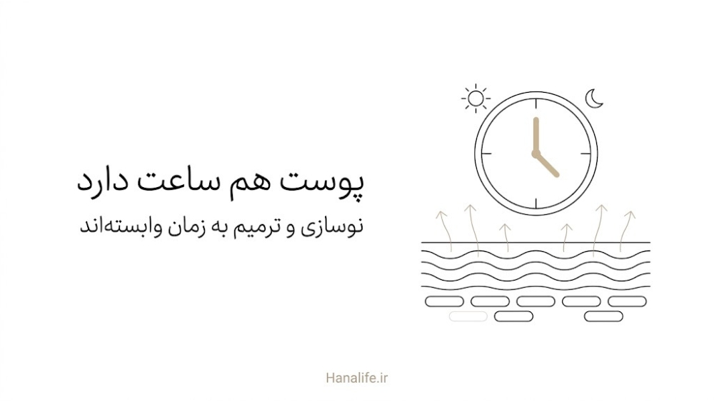 ساعت نیمه روز و نیمه شب بالای برش پوست که نوسازی و ترمیم شبانهروزی را نشان میدهد