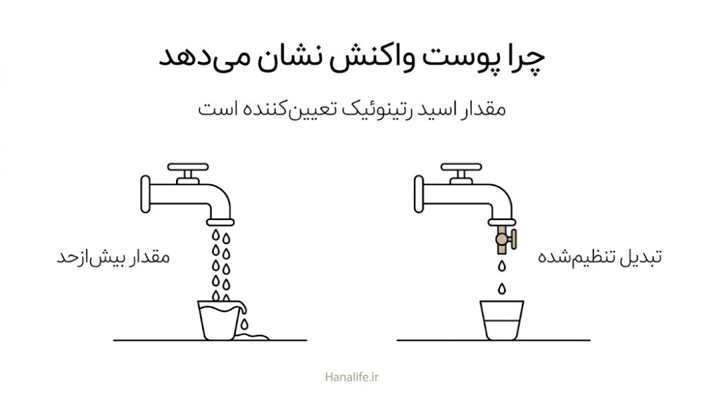  تبدیل تنظیم‌شده رتینول به اسید رتینوئیک در برابر رسیدن مقدار بیش‌ازحد آن به پوست و تحریک