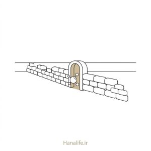 مولکولی کوچک از دروازه باریک دیوار مرزی پوست عبور میکند — نفوذ پوستی — هانالایف