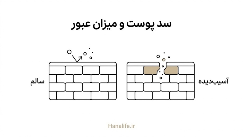 مقایسه سد پوستی سالم و آسیبدیده؛ در سد آسیبدیده ذرات بیشتری از شکاف وارد پوست میشوند