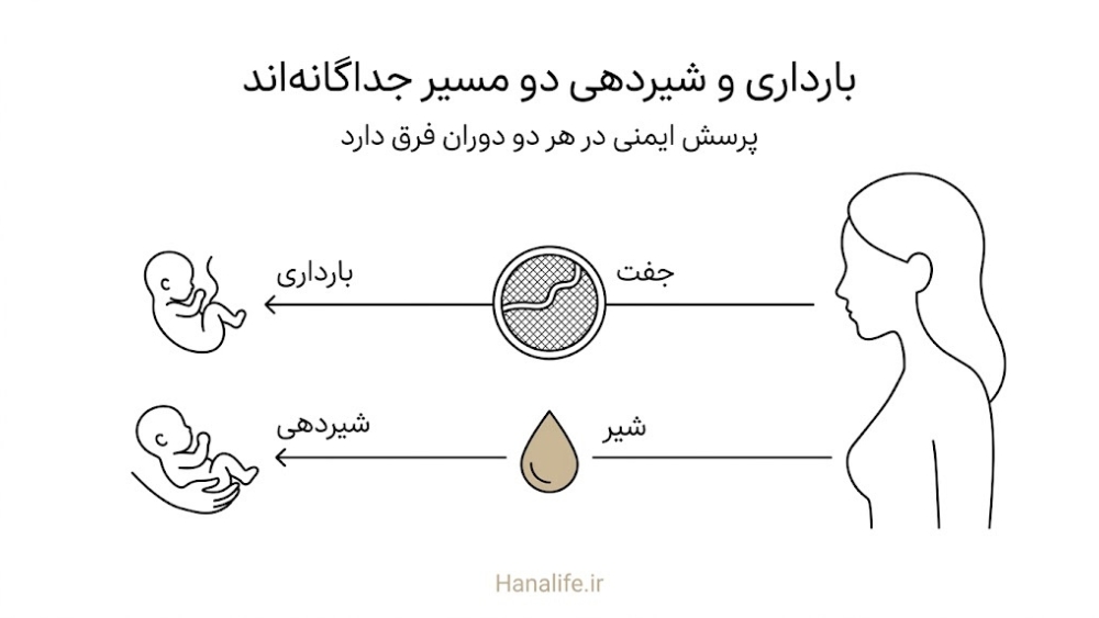 دو مسیر جداگانه بارداری با جفت و شیردهی با شیر؛ ایمنی رتینوئید و هیدروکینون در شیردهی