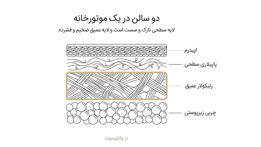برش درم پوست با دو لایه پاپیلاری سطحی و رتیکولار عمیق زیر اپیدرم و بالای چربی زیرپوستی