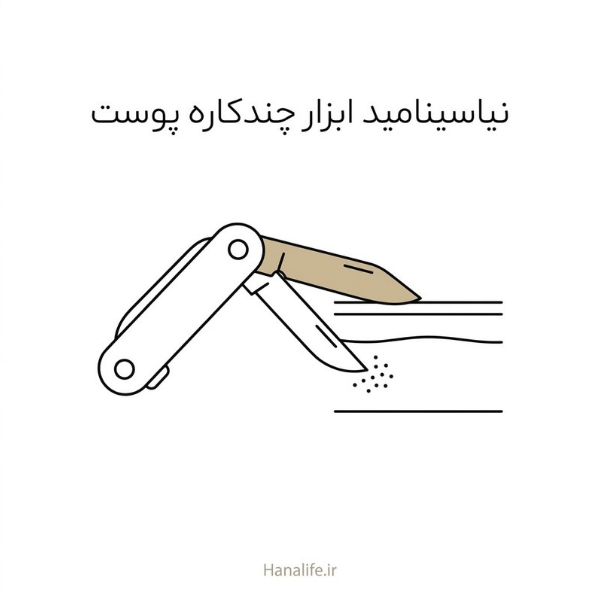 ابزار چندکاره با دو تیغه روی برش ساده پوست، نماد نقش نیاسینامید در فیزیولوژی پوست — نیاسینامید فیزیولوژی — هانالایف