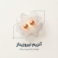 تصویر مینیمال و لوکس ساختار آنزیم تیروزیناز با هسته مس فعال، نماد علمی تولید رنگدانه پوست.